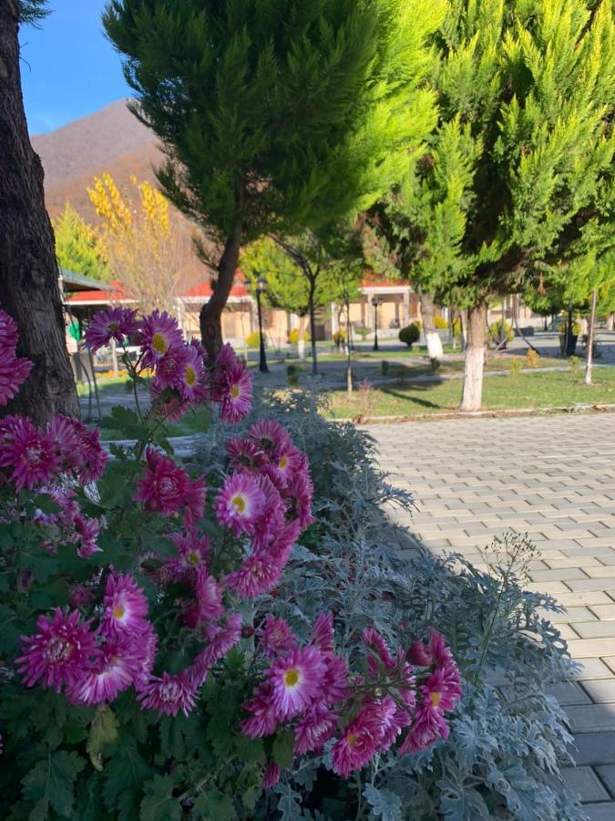 Residence Hotel Restoran Qax Εξωτερικό φωτογραφία